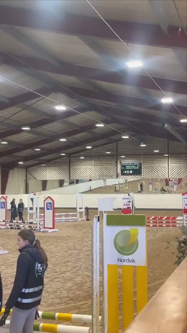 Allround hästar till salu: Unik liten läromästare - Video 3