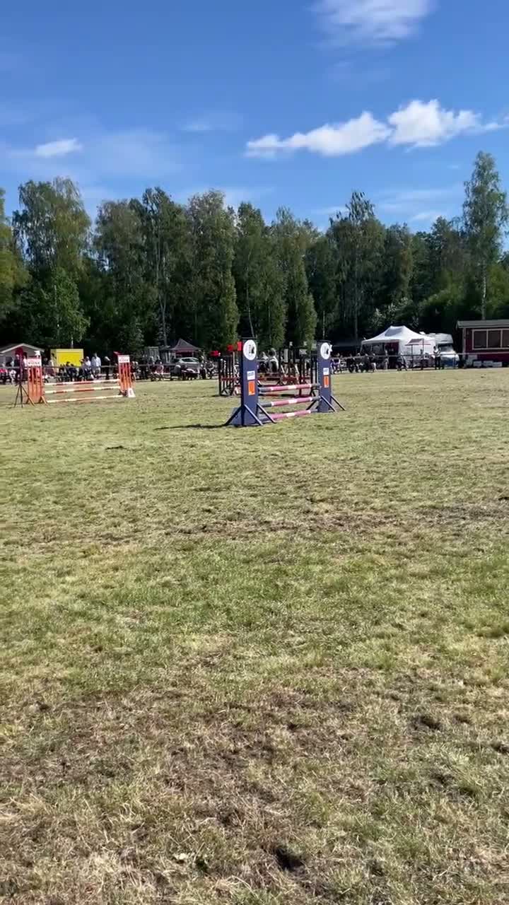 Hoppning hästar till salu: Super första tävlingsponny - Video 1