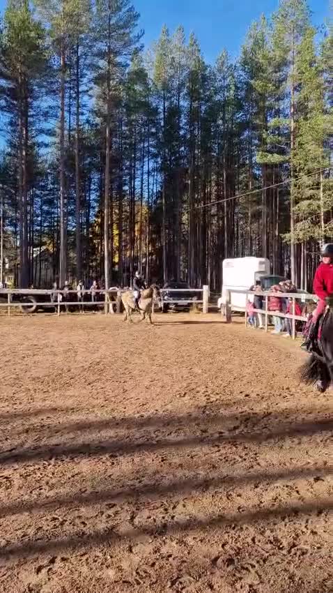  hästservice finnes: Söker familje ponny/häst eller läromästare! i Sollerön - Video 1