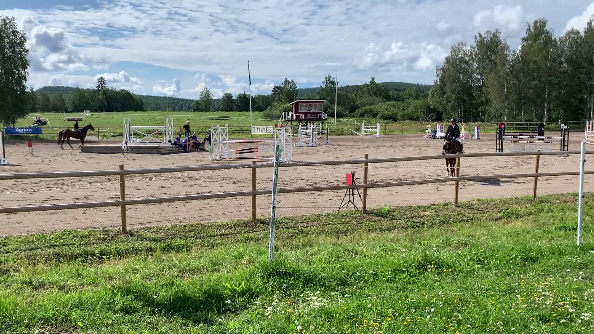 Hoppning hästar till salu: Trevlig valack e. Kashmir van Schuttershof - Video 1