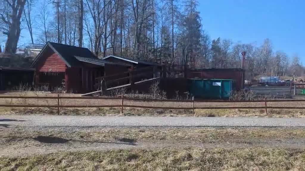 Allround hästar till salu: Vänlig, vaken och kommunikativ - Video 4