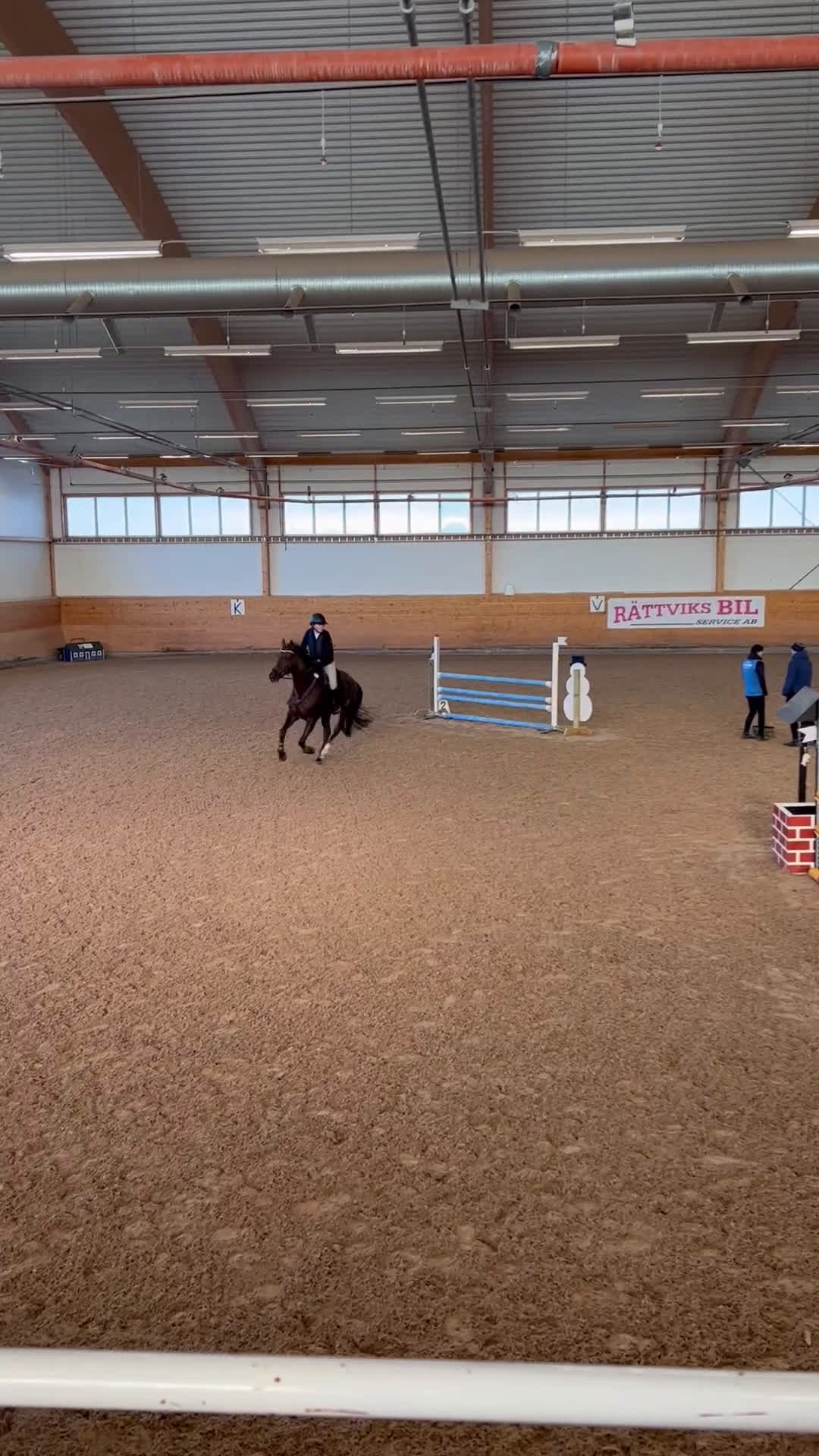 Hoppning hästar till salu: Vackert SWB sto i Sveg - Video 1
