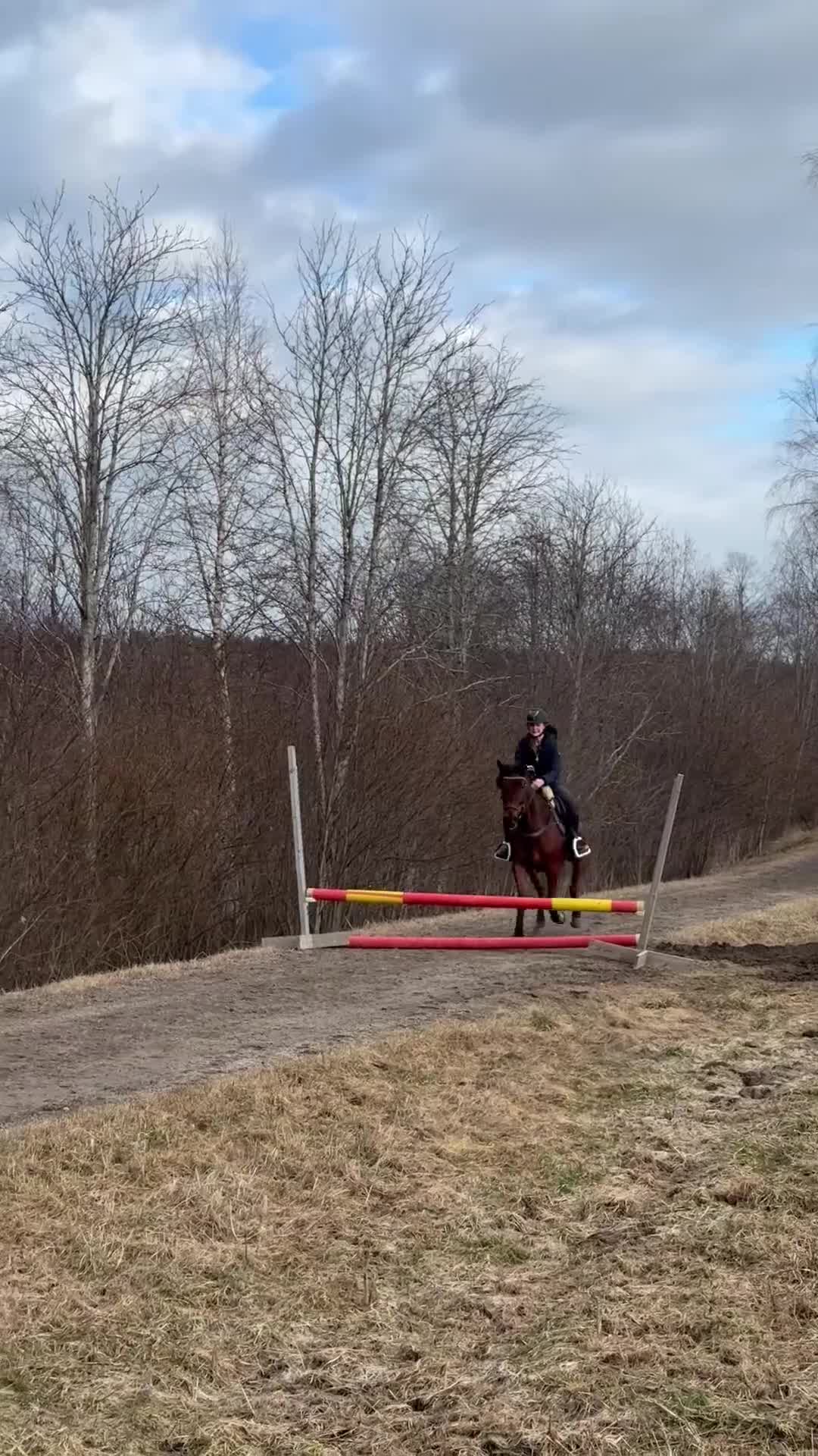 Allround hästar till salu: 5-årig D-ponny med stor utvecklingspotential - Video 1