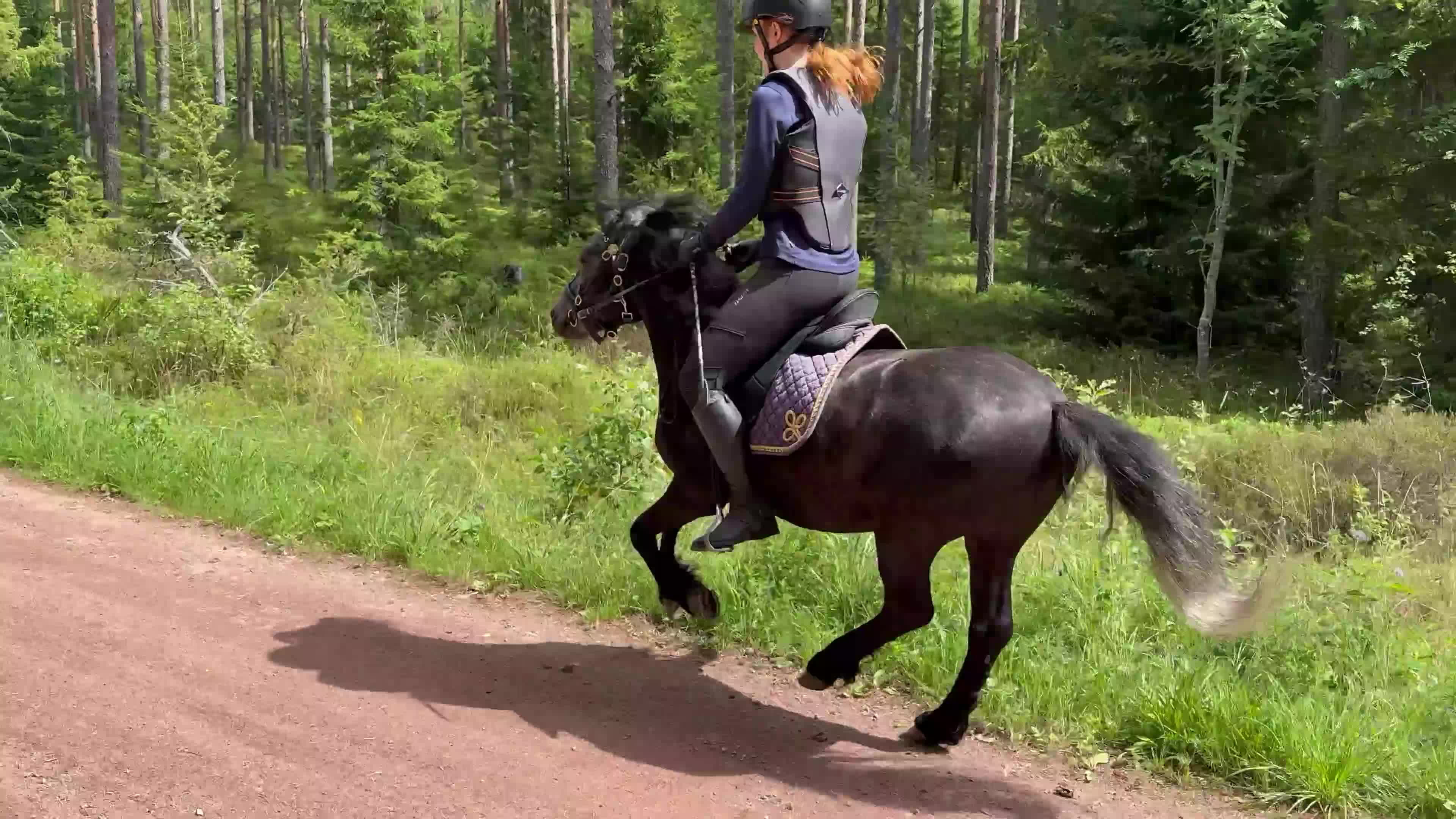 Allround hästar till salu: Underbar Dartmoorponny - Video 1