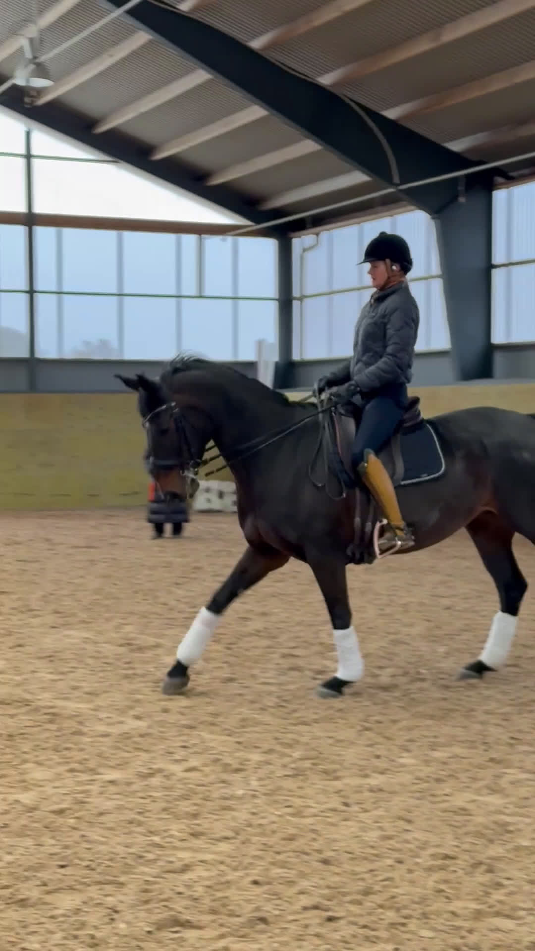  medryttarhäst finnes: Dressyrhäst söker medryttare. GP utbildad. i Eldsberga - Video 1