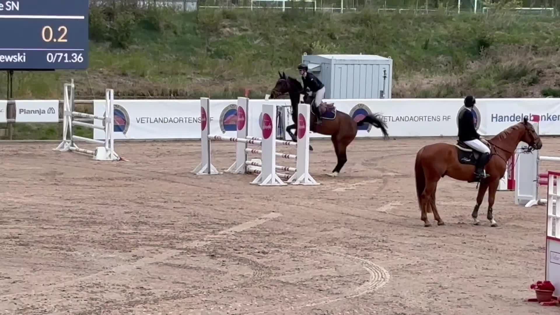 Hoppning hästar till salu: Grön 6-åring med potential i Värnamo - Video 1