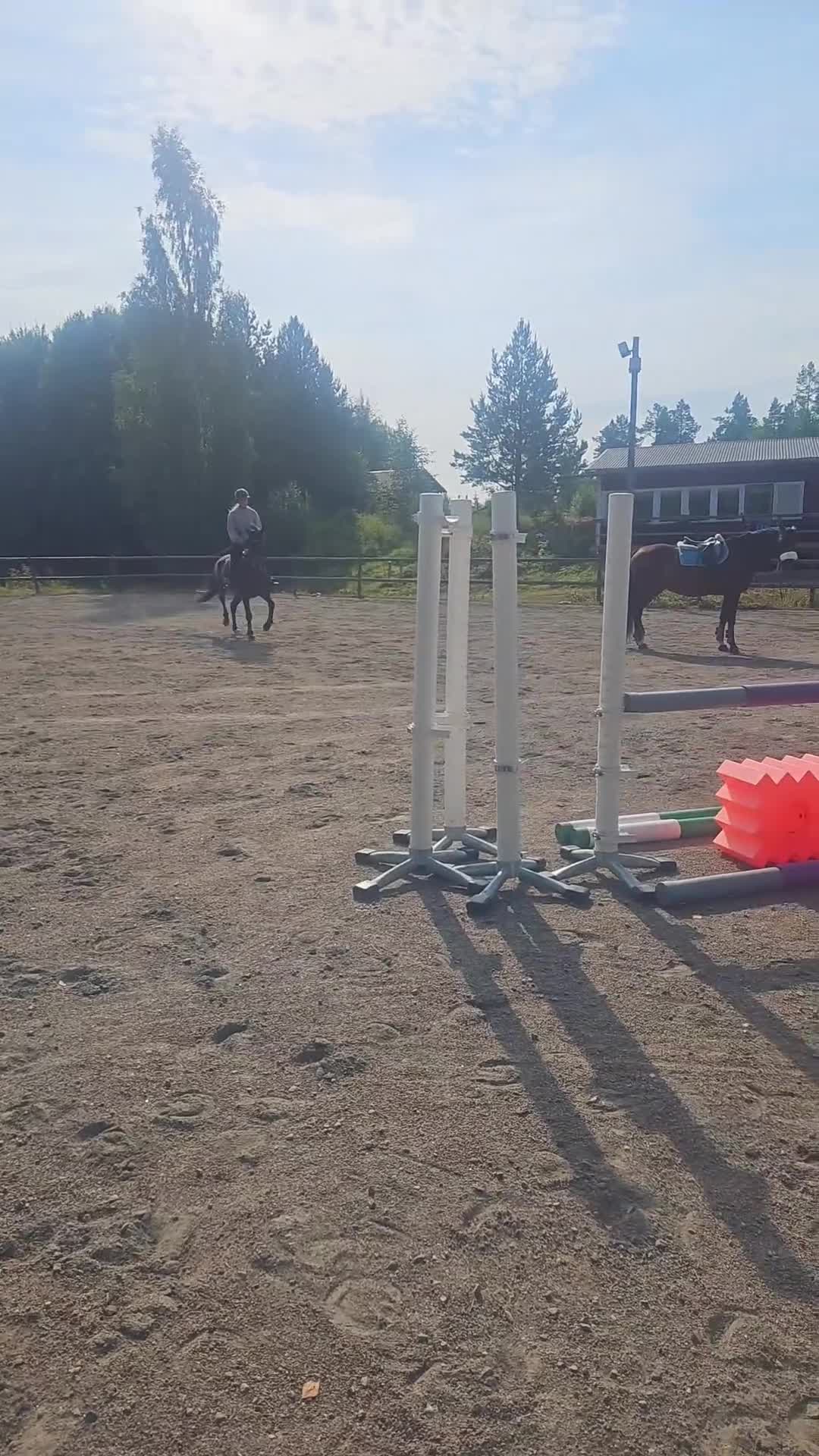 Hoppning hästar till salu: Läckert D-ponny sto 5 år, en ponny för framtiden! - Video 3