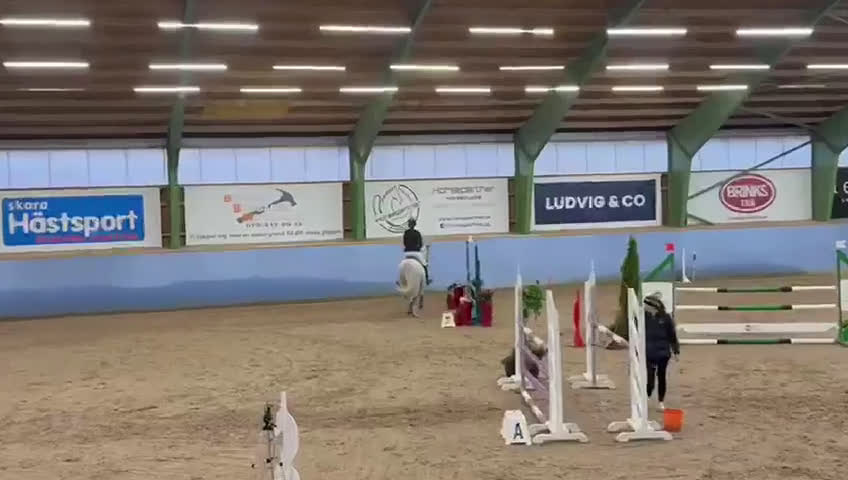 Hoppning hästar till salu: Allround häst i Värends Nöbbele - Video 2