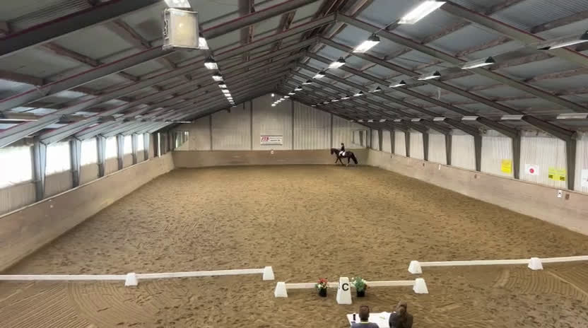 Allround hästar till salu: Läckert sto i Norrtälje - Video 2