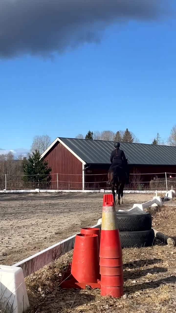 Allround hästar sökes: 🌿 Familj söker trygg häst 🌿 - Video 1
