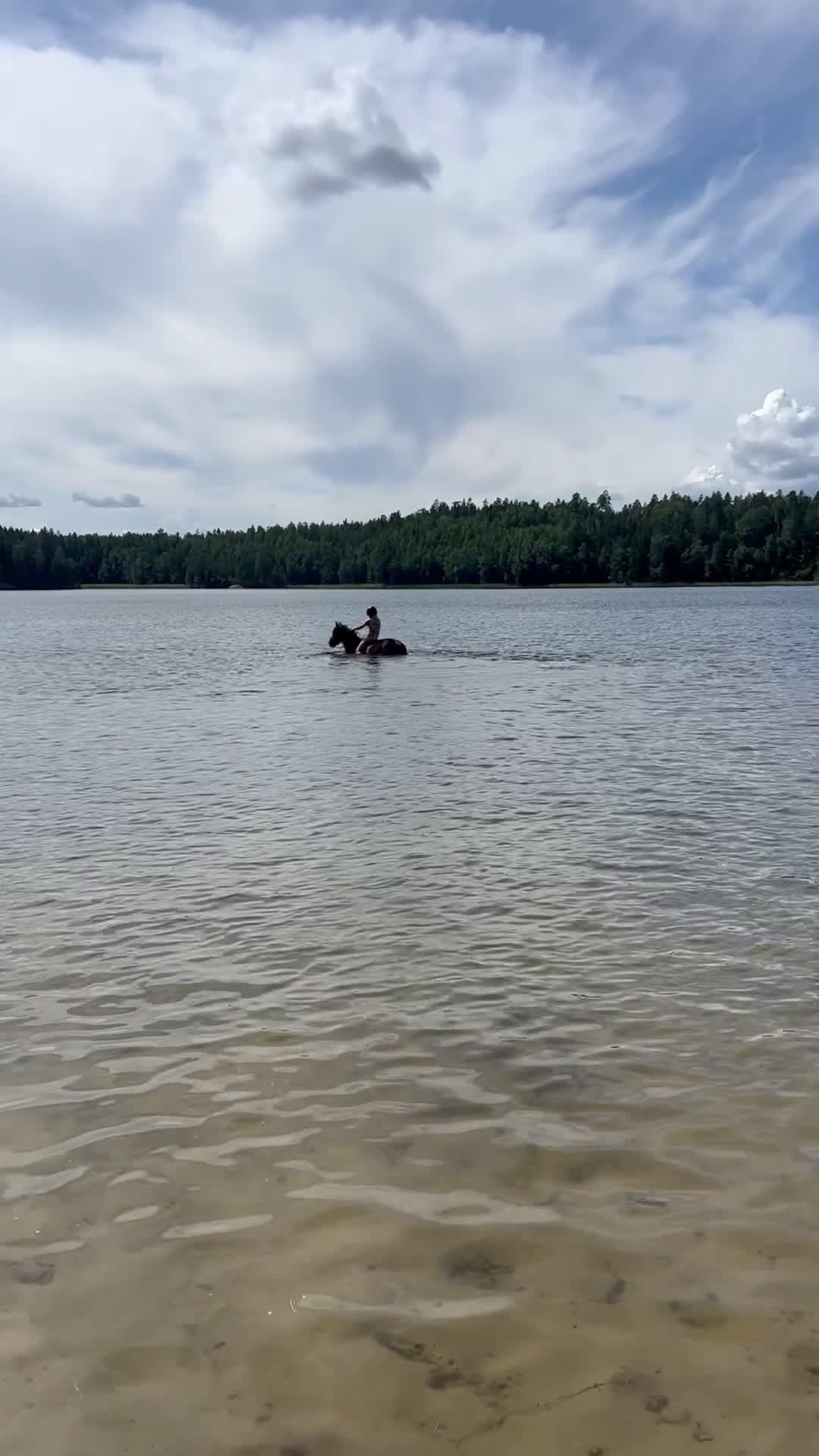 Allround hästar till salu: Fantastisk läromästare! - Video 2