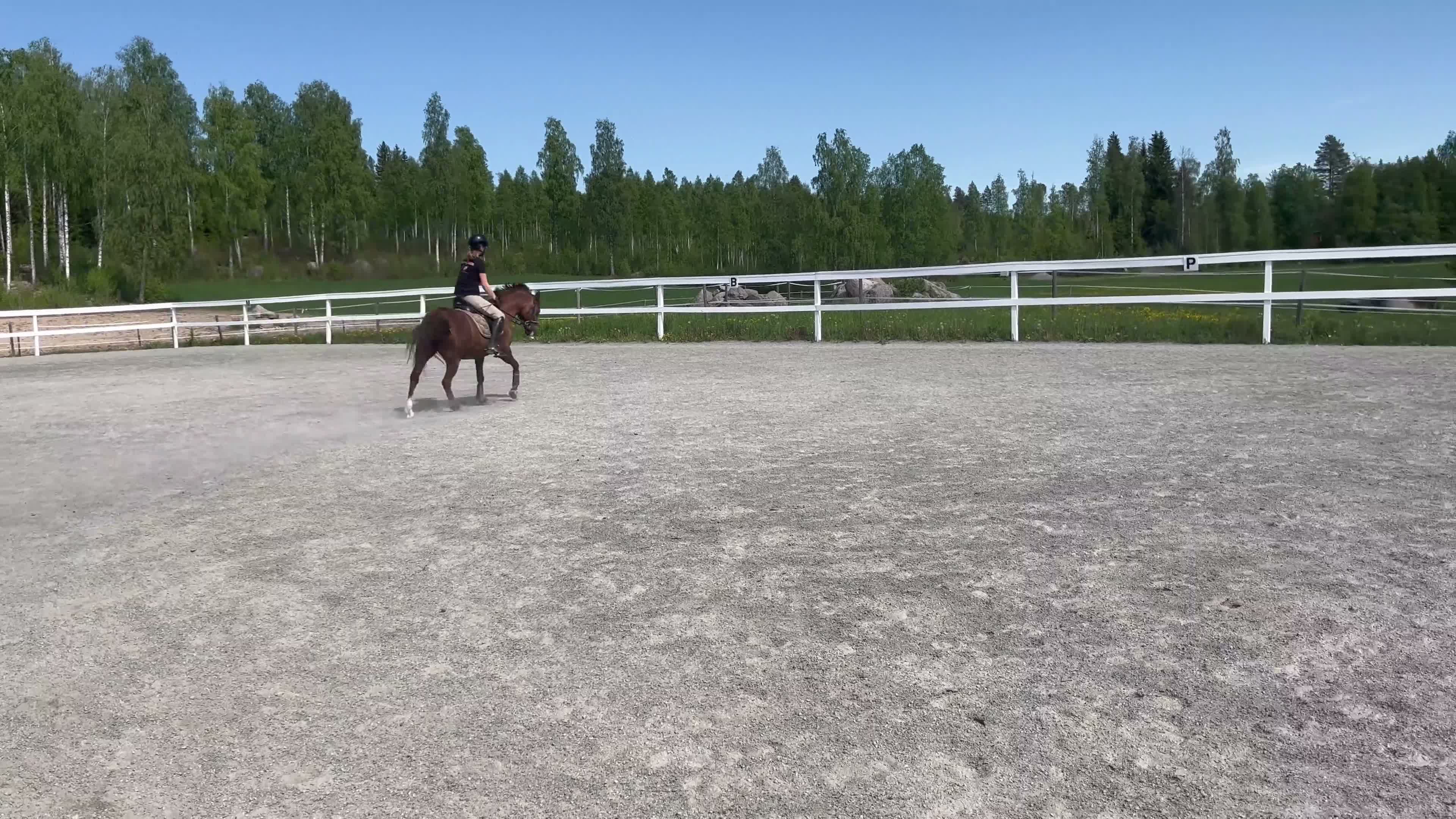 Allround hästar till salu: Trevlig c-ponny❤️ i Järvsö - Video 1