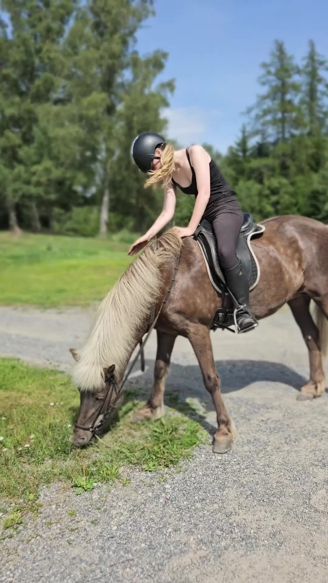  medryttarhäst sökes: Söker du medryttare? Då kanske jag kan hjälpa! - Video 3