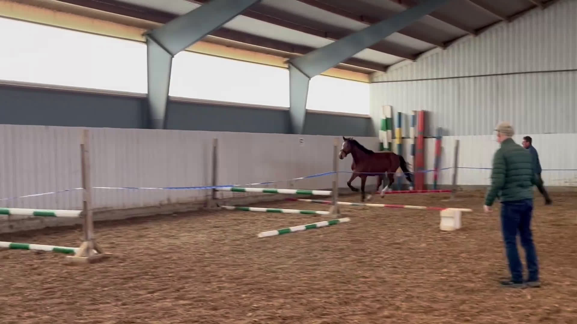 Hoppning hästar till salu: 💥vackert 3årigt sto💥 i Löberöd - Video 2