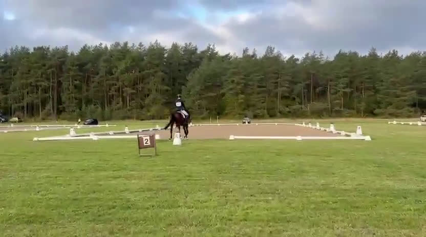 Hoppning hästar till salu: Talangfull Fälttävlanshäst med Kapacitet  i Harlösa - Video 3