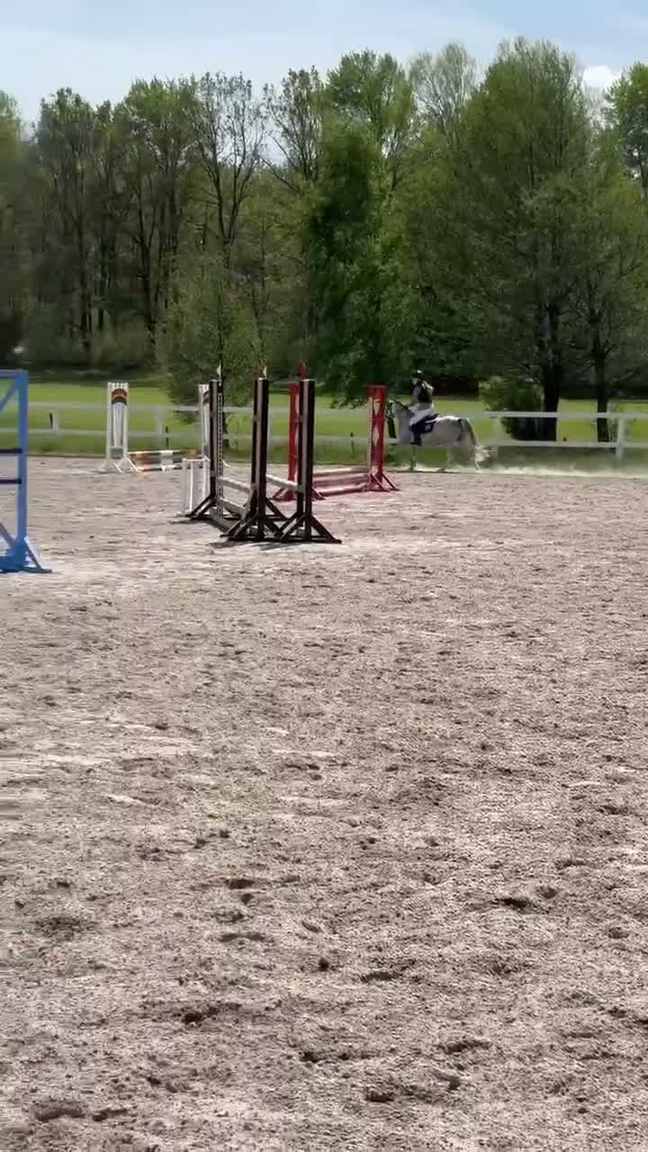 Allround hästar till salu: Dröm ponny  - Video 3