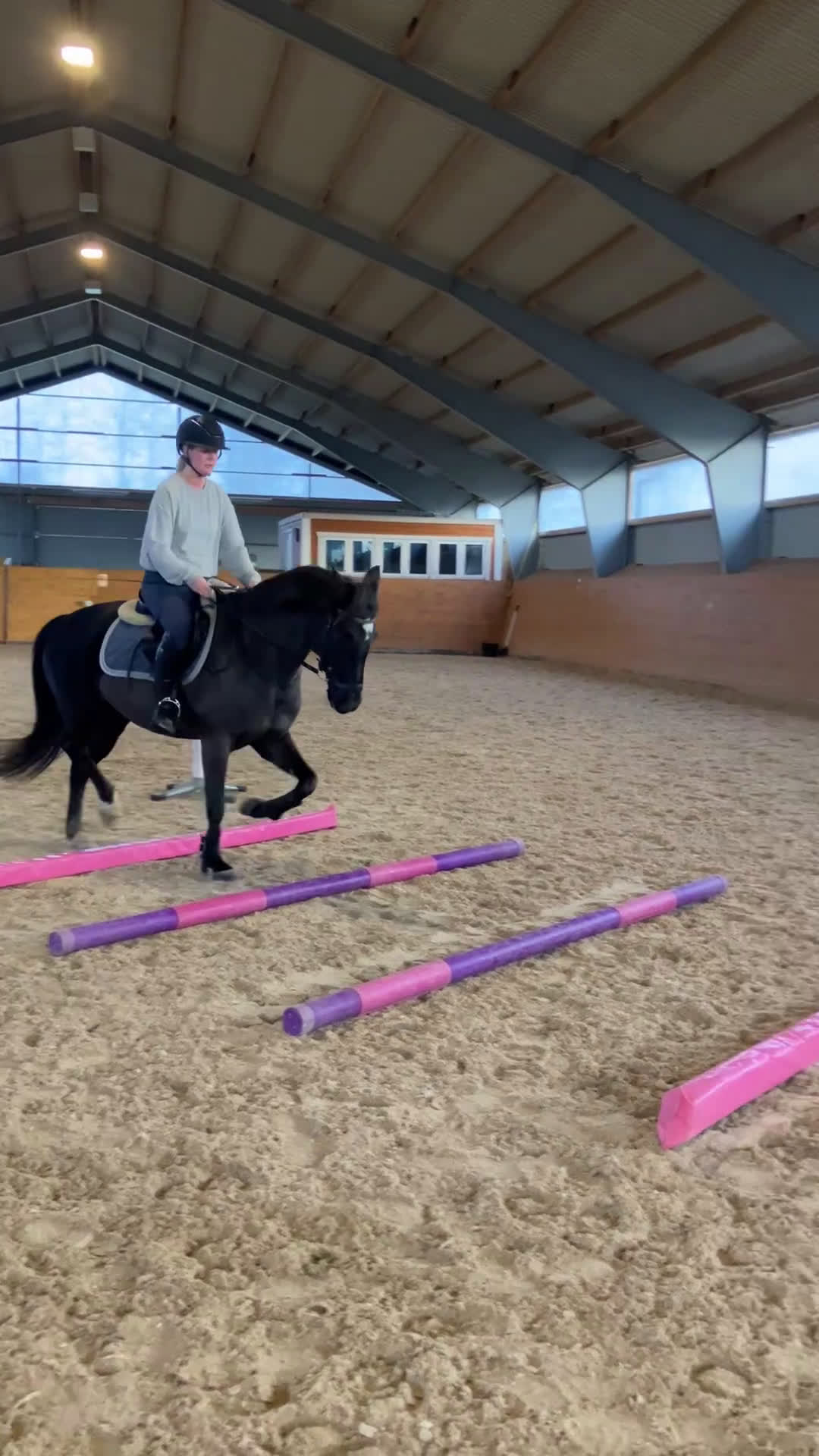 Allround hästar till salu: Lättlärd ponny med kapacitet i Halmstad - Video 3