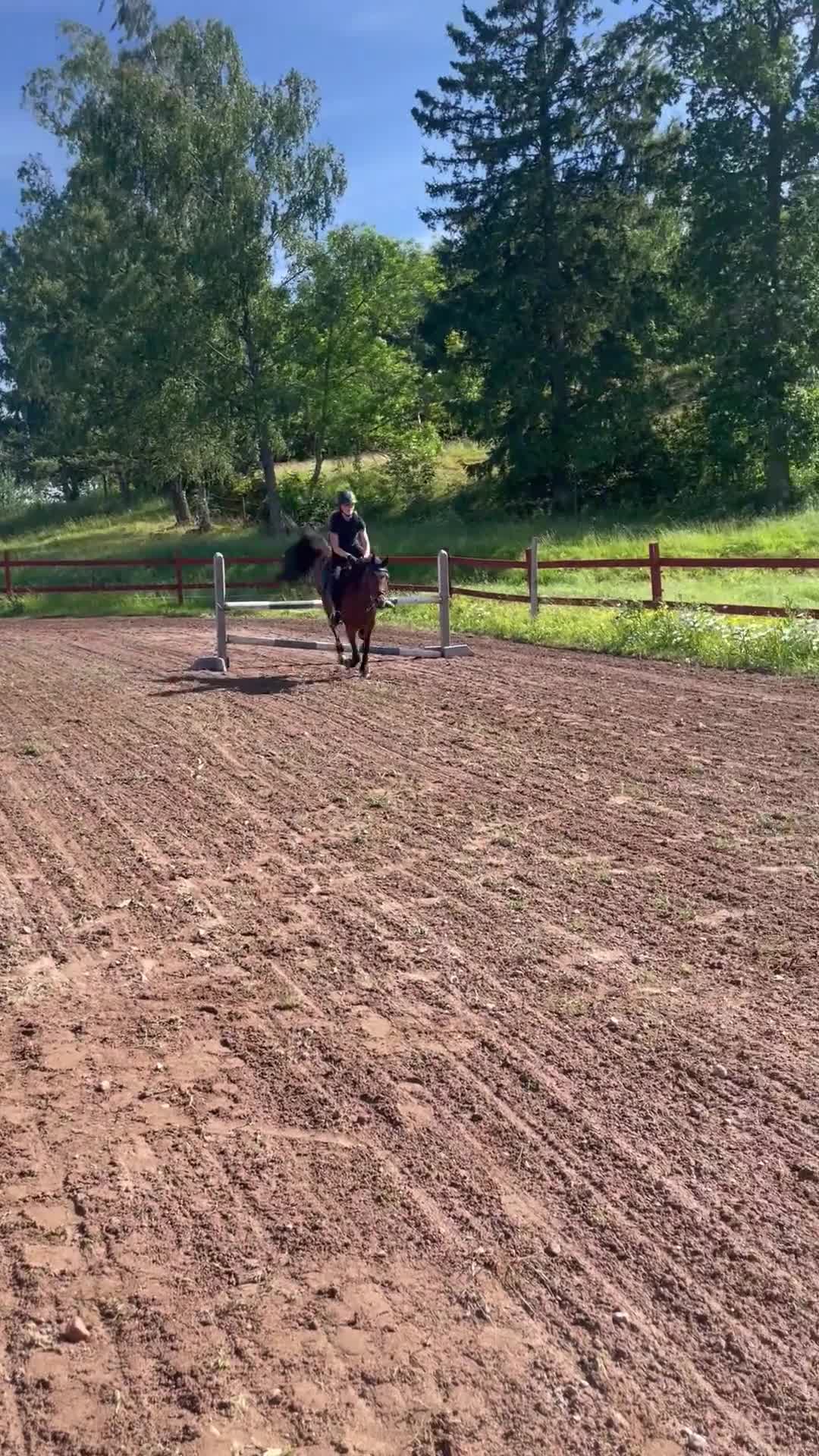 Allround hästar sökes: Betalande medryttare finnes i Linköping! - Video 1
