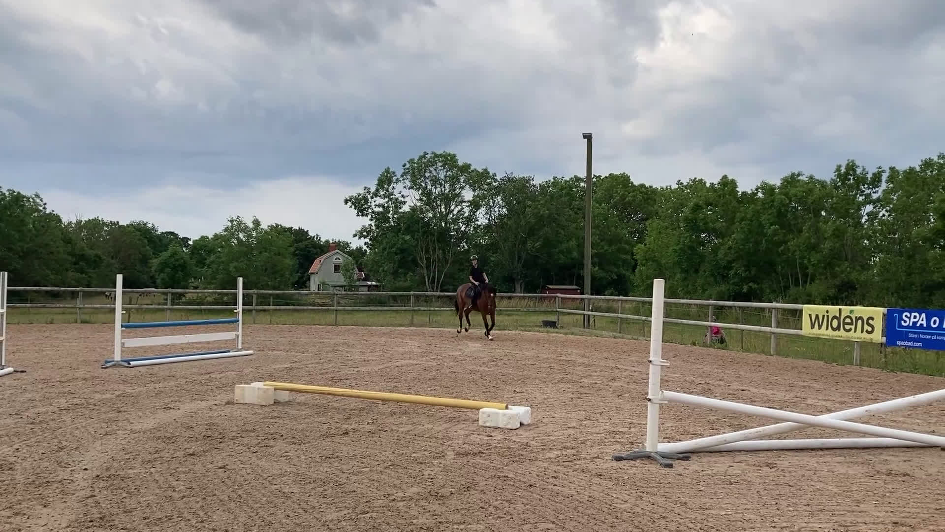 Hoppning hästar till salu: Söker du världens snällaste häst?  i Björklinge - Video 1