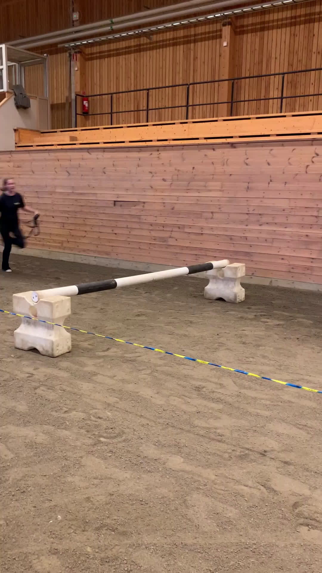 Allround hästar till salu: Allroundponny i Nyland - Video 1