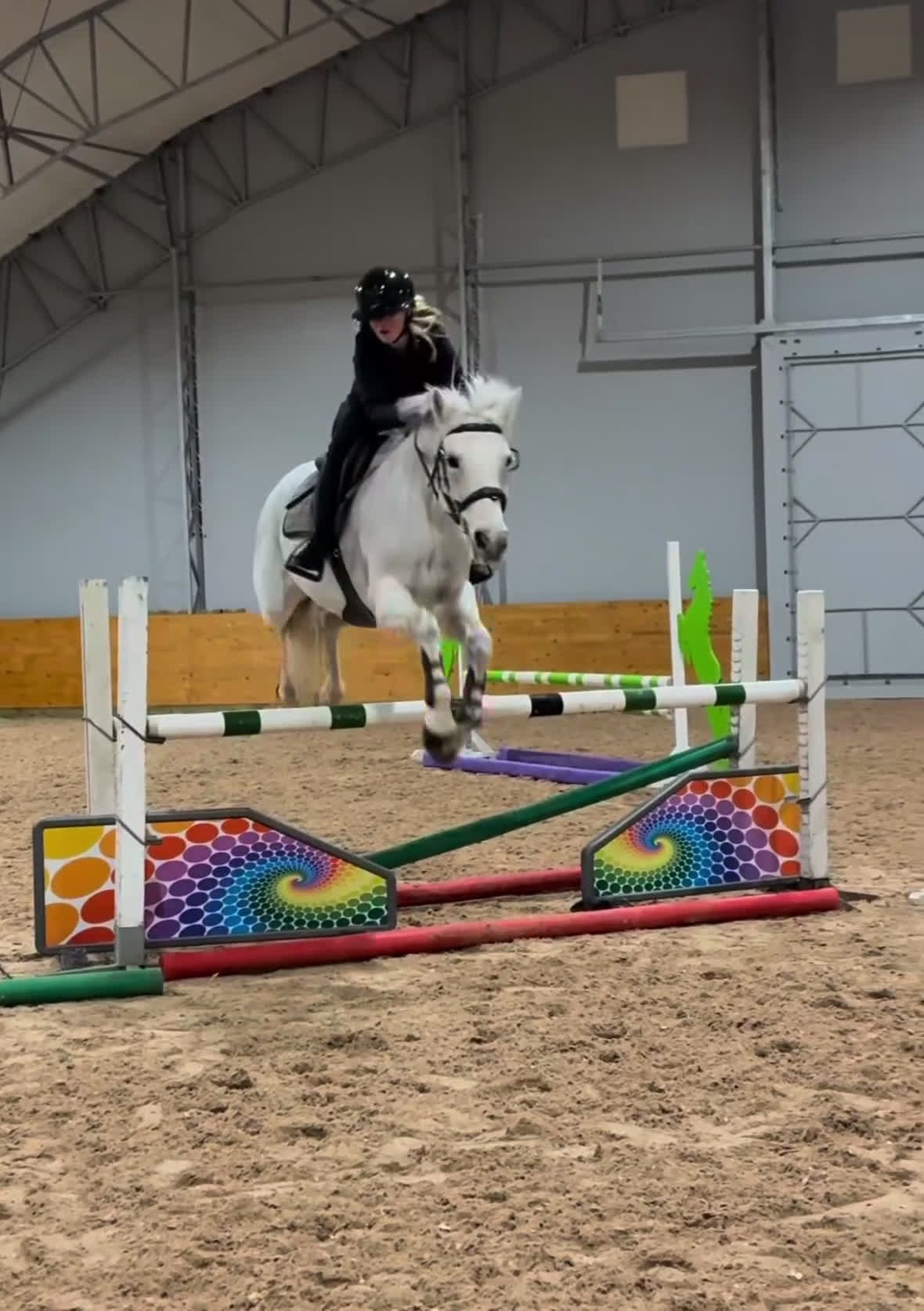 Hoppning hästar till salu: Perfekt läromästare! i Västra Tunhem - Video 1