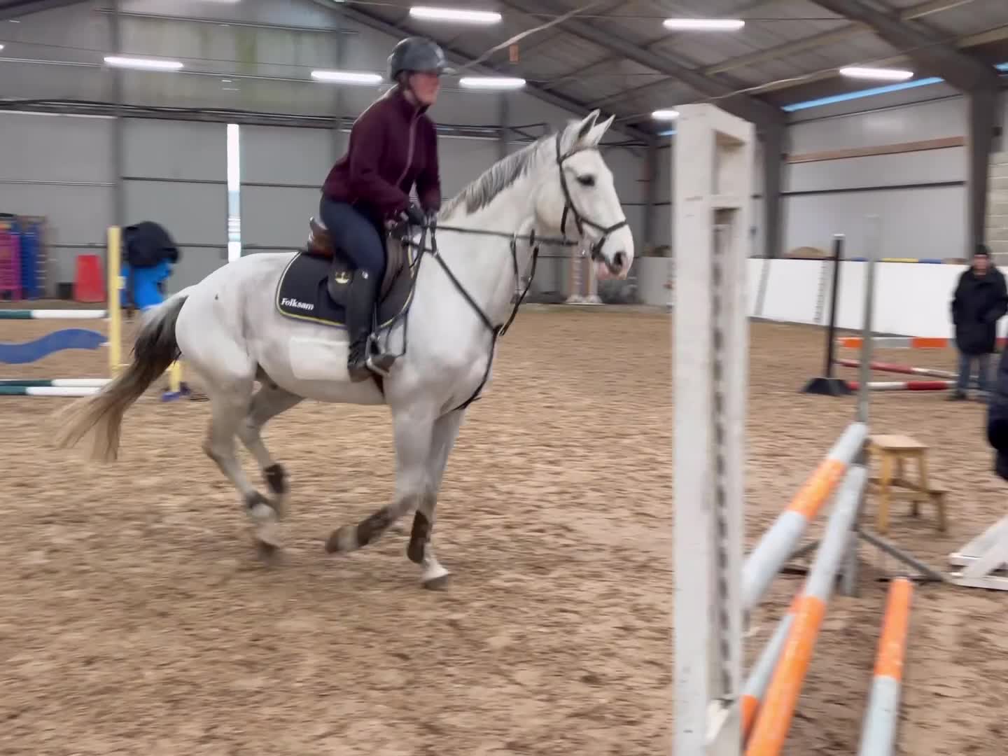 Hoppning hästar till salu: Trevlig valack - Video 3