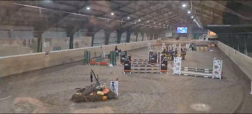 Hoppning hästar till salu: Maxad B-ponny i Valdemarsvik - Video 2