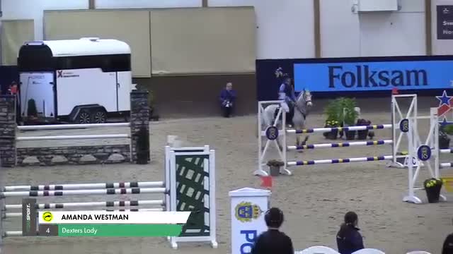 Hoppning hästar till salu: Ponny för den som satsar - Video 1