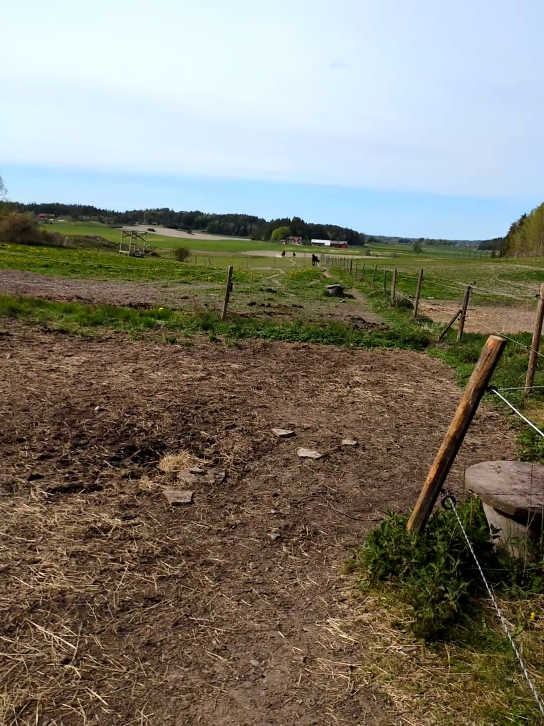  medryttarhäst sökes: Medryttarhäst  i Vagnhärad - Video 1