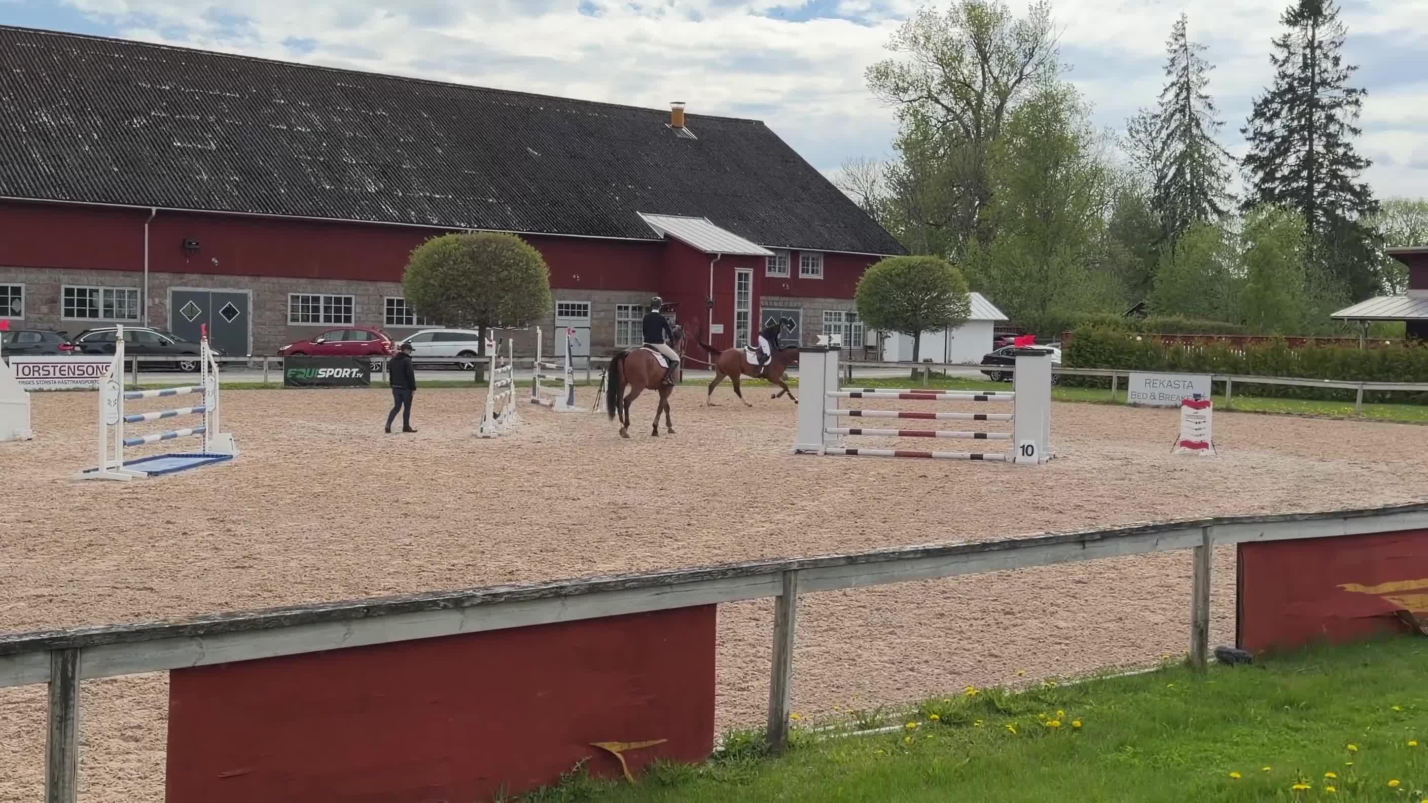 Hoppning hästar till salu: En genomsnäll unghäst för framtiden! - Video 1