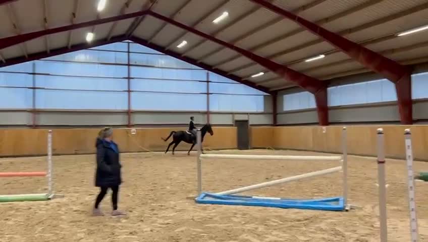 Allround hästar till salu: Fint sto  i Ystad - Video 3