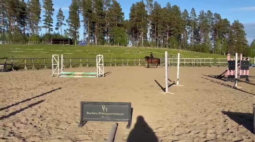 Hoppning hästar till salu: Trevligt sto -22 e.Montevideo - Video 1