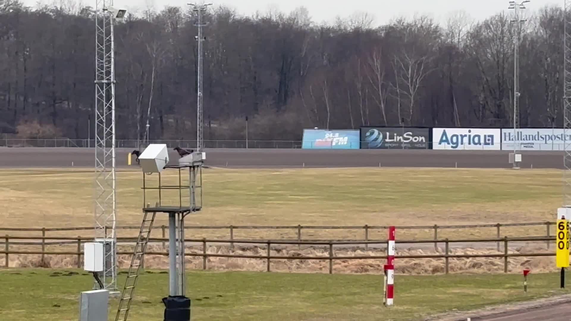 Trav hästar till salu: Fin 3: åring  - Video 1