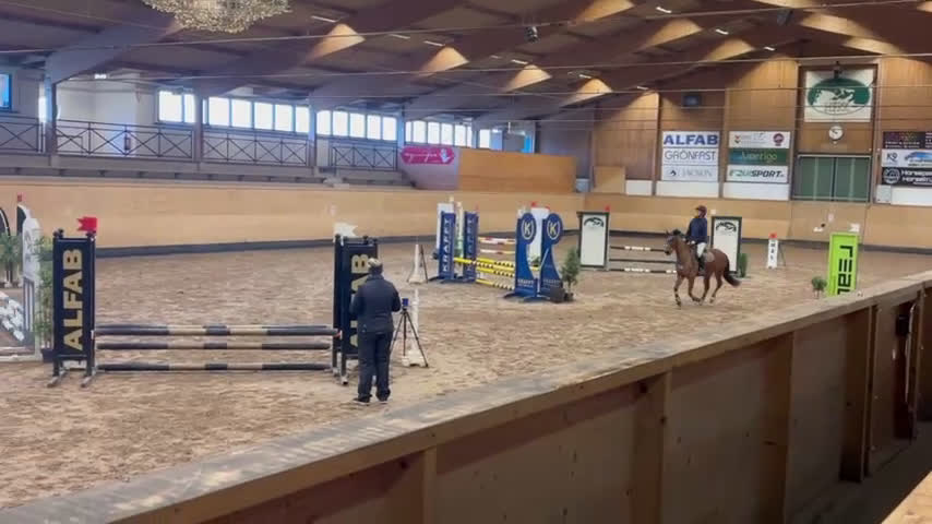 Hoppning hästar till salu: Fantastisk ponny med toppstam!  - Video 1