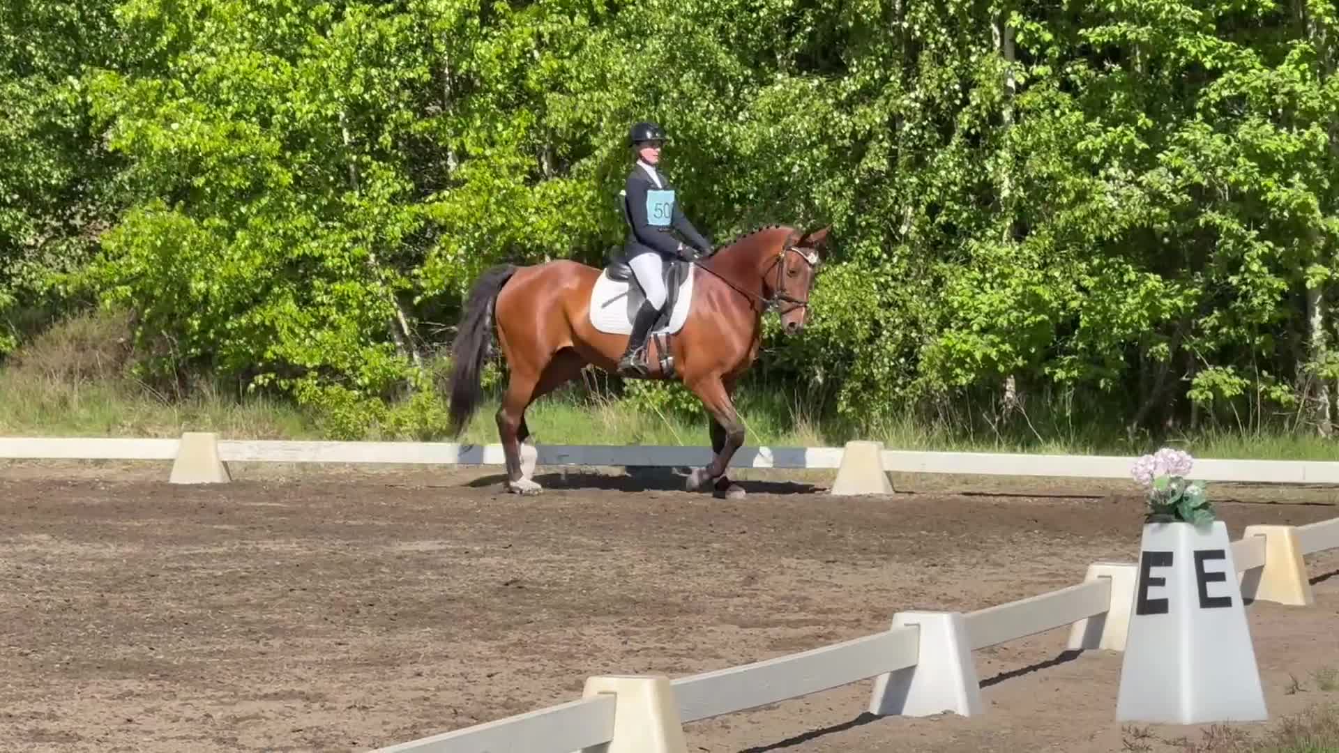 Fälttävlan hästar till salu: Fälttävlansponny - Video 1