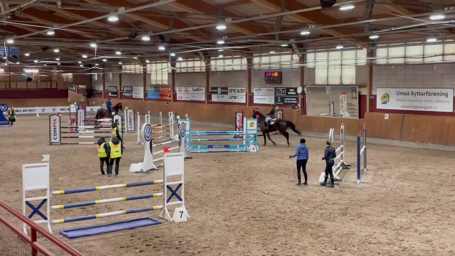 Allround hästar till salu: Underbar valack söker nytt hem i Ersmark - Video 1