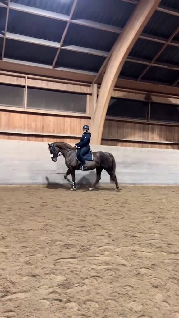 Allround hästar sökes: Bästavän sökes🥰 i Jönköping - Video 5