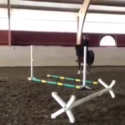Allround hästar till salu: Fin stor känslig kille  - Video 2