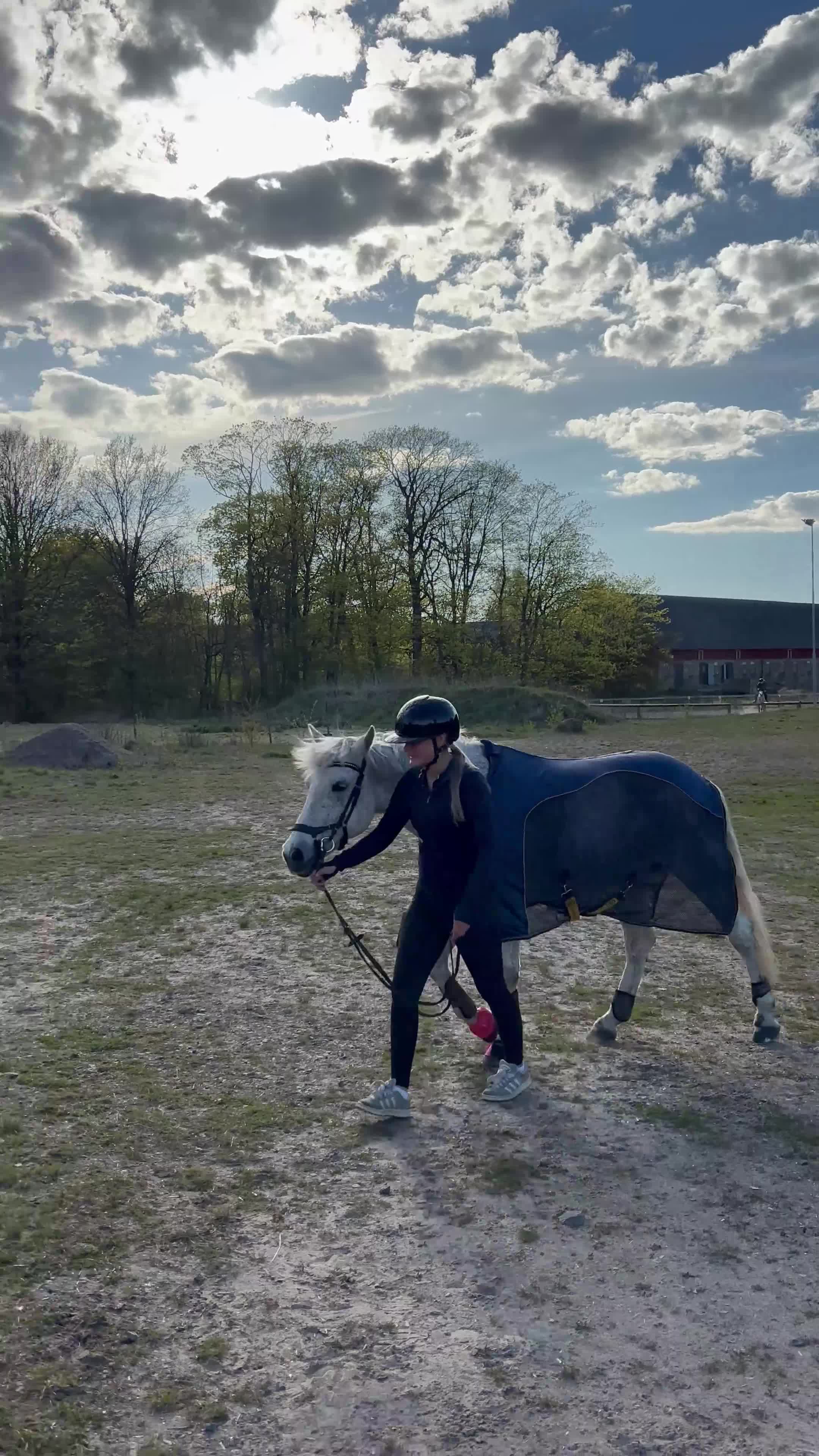 Hoppning hästar till salu: Lättsam Connemara med potential - Video 5