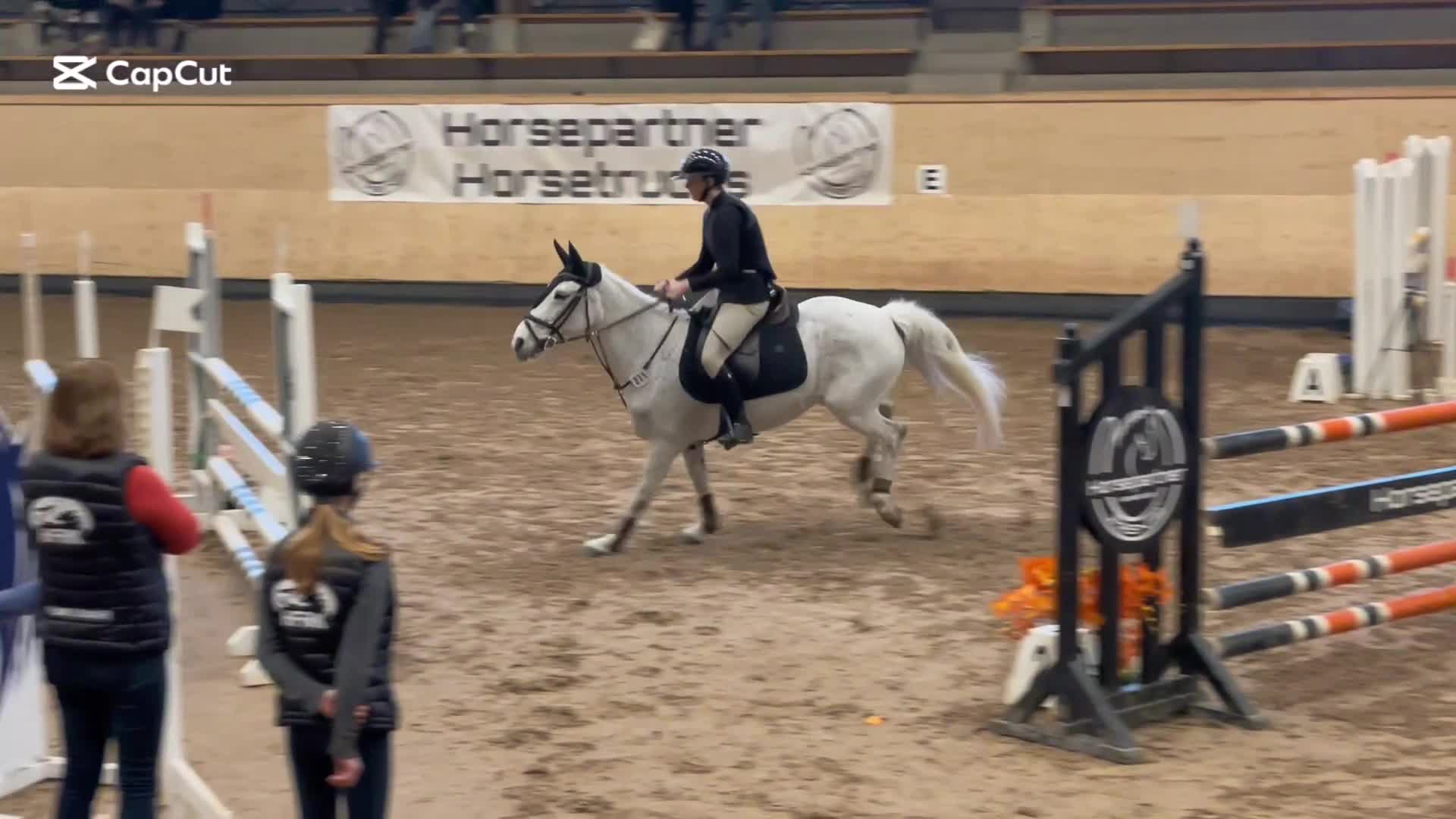Hoppning hästar till salu: Riktig rosettplockare som man kan göra allt med - Video 1