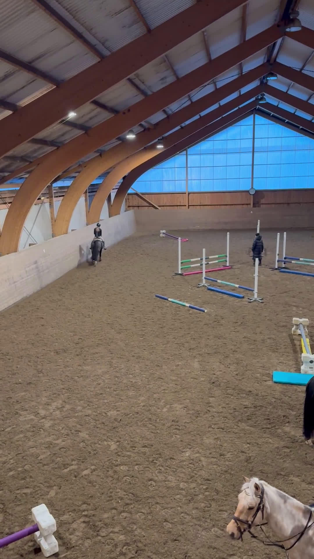 Allround hästar till salu: Fin läromästare❤️ i Vallda - Video 1