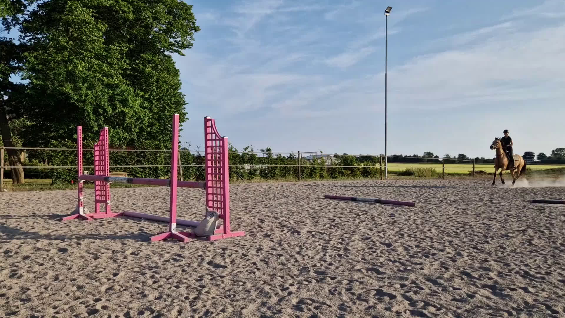 Allround hästar till salu: Pigg och positiv ponny i Lomma - Video 2