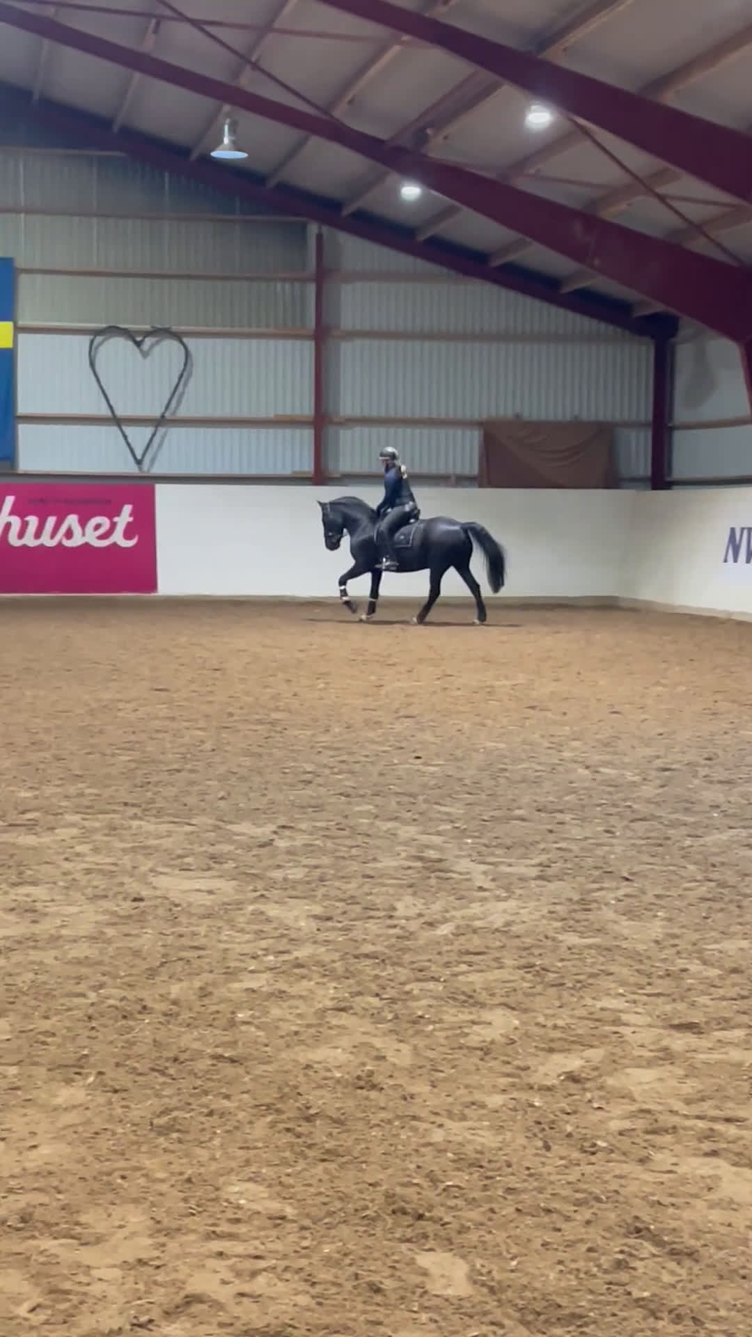 Fälttävlan hästar till salu: Fantastisk Fältävlansponny🌟 i Vetlanda - Video 5