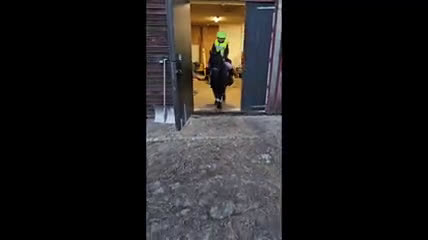 Allround hästar till salu: En trygg B ponny i Umeå - Video 1