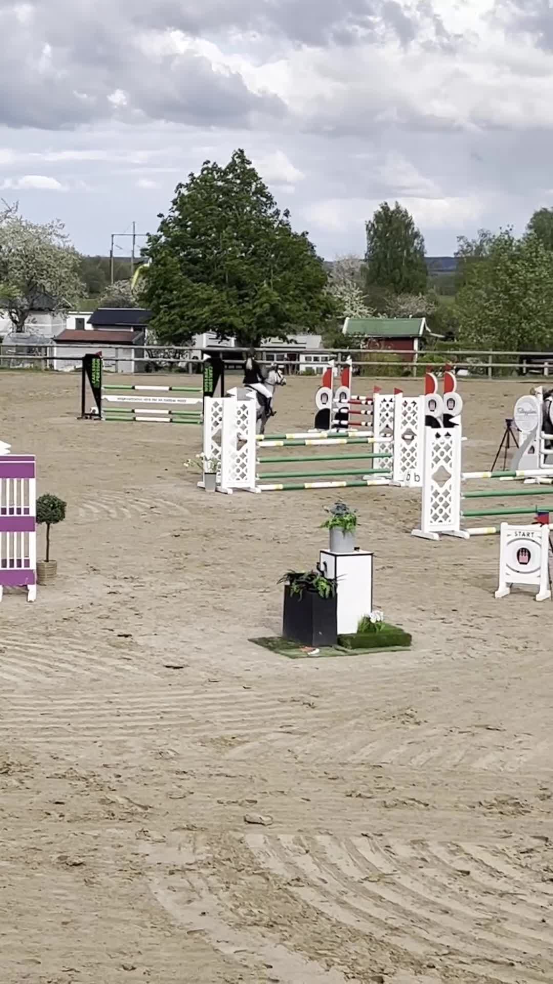 Hoppning hästar till salu: Tävlingsponny med utstrålning - Video 1