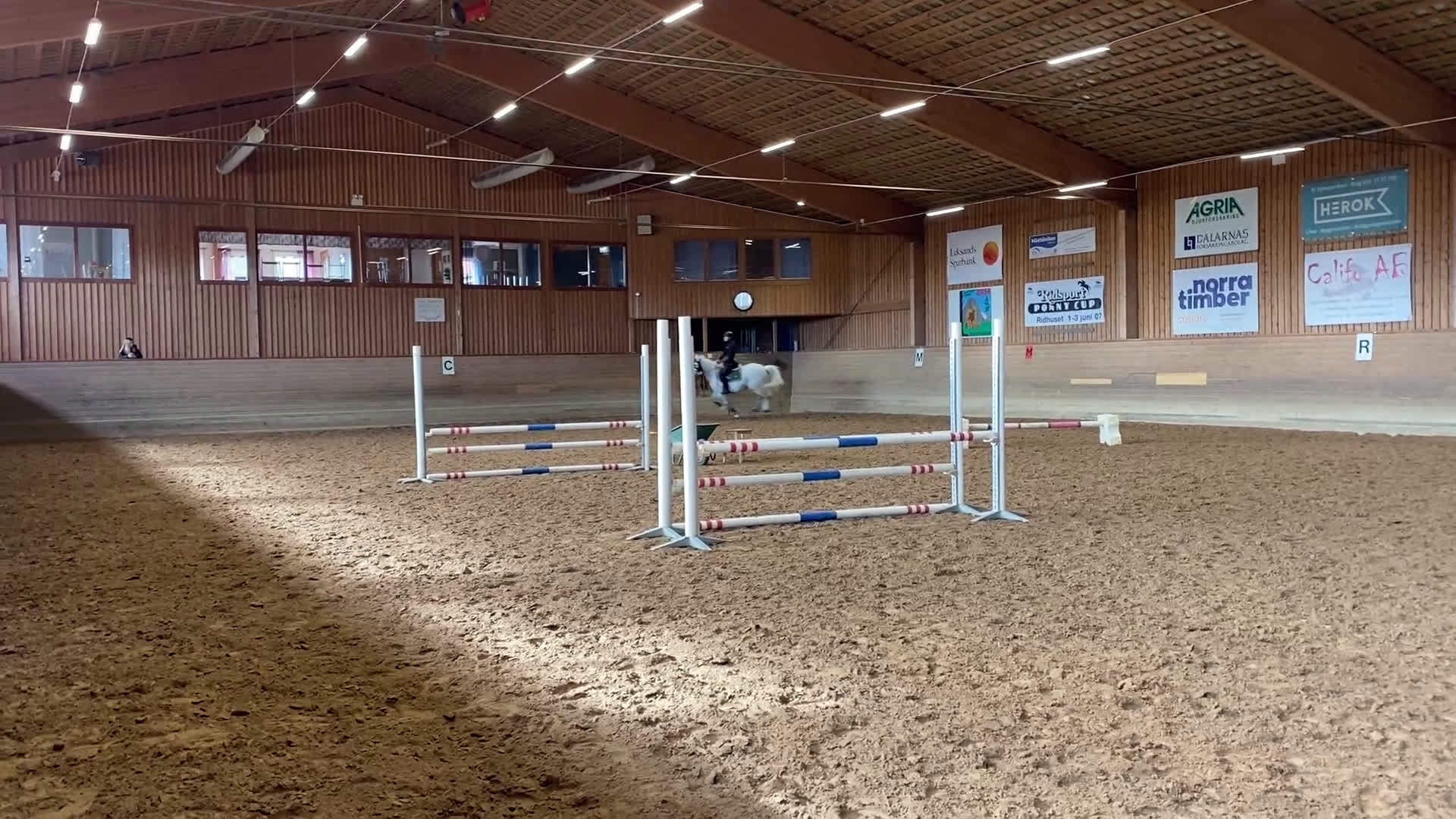 Hoppning hästar till salu: Trevlig ponny  i Skattungbyn - Video 2