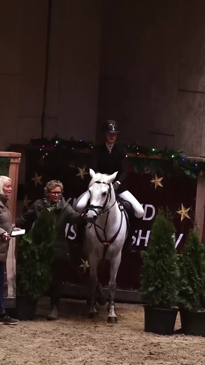 Hoppning hästar till salu: Spring pony til store stævner  - Video 3