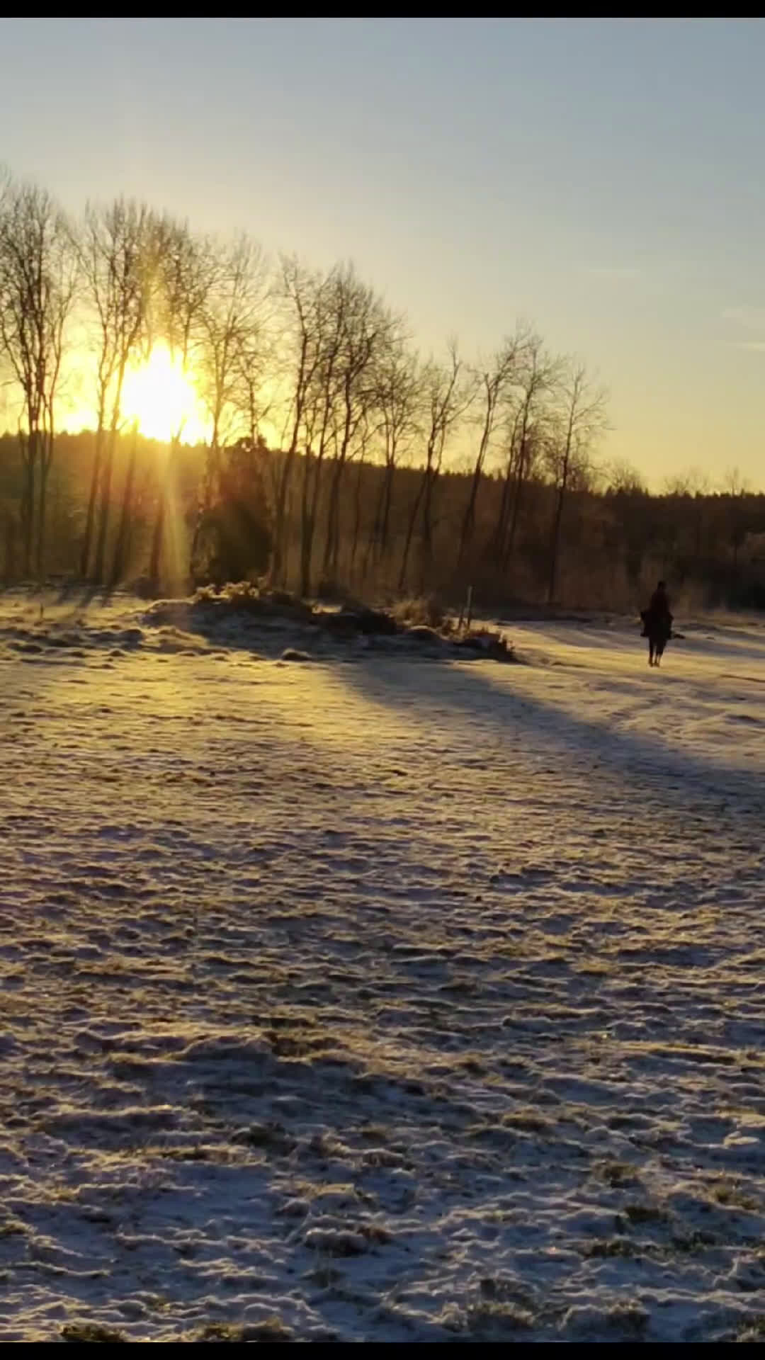 Allround hästar sökes: Äldre läromästare sökes (ponny eller storhäst) - Video 1