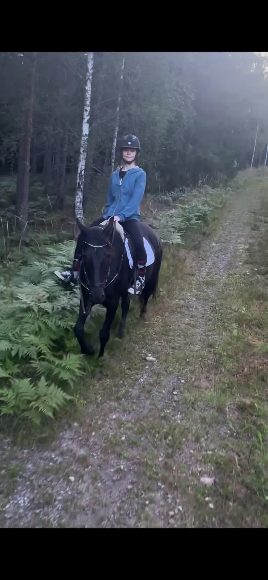 Allround hästar till salu: Ridtravare/ fölsto  i Kil - Video 1
