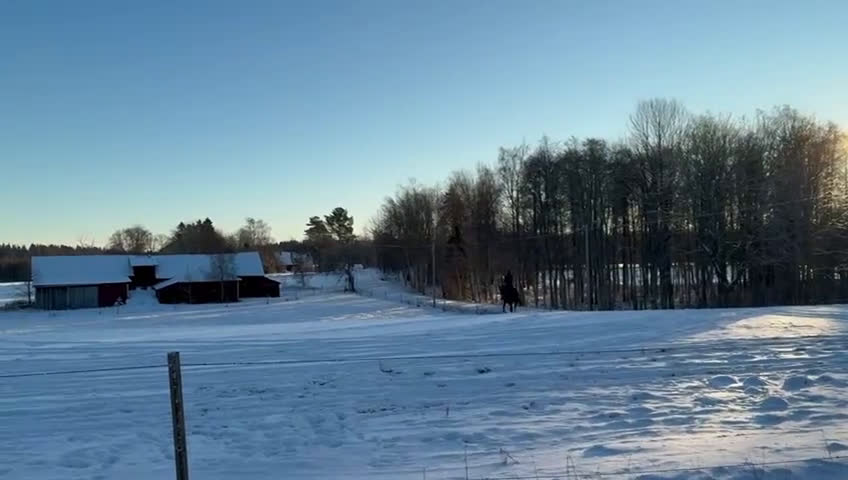 Allround hästar till salu: Härlig 5-åring  i Nässjö - Video 2